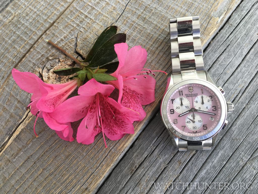 An early spring Azalea bloom next to the pale pink dial of the Victorinox Swiss Army Chrono Classic