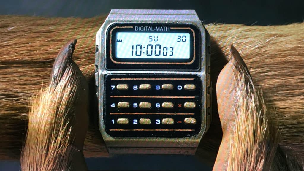 Mr. Fox's calculator watch