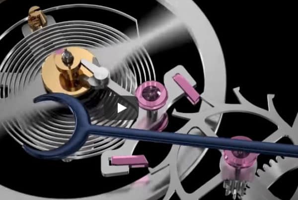 Seiko Movement Video