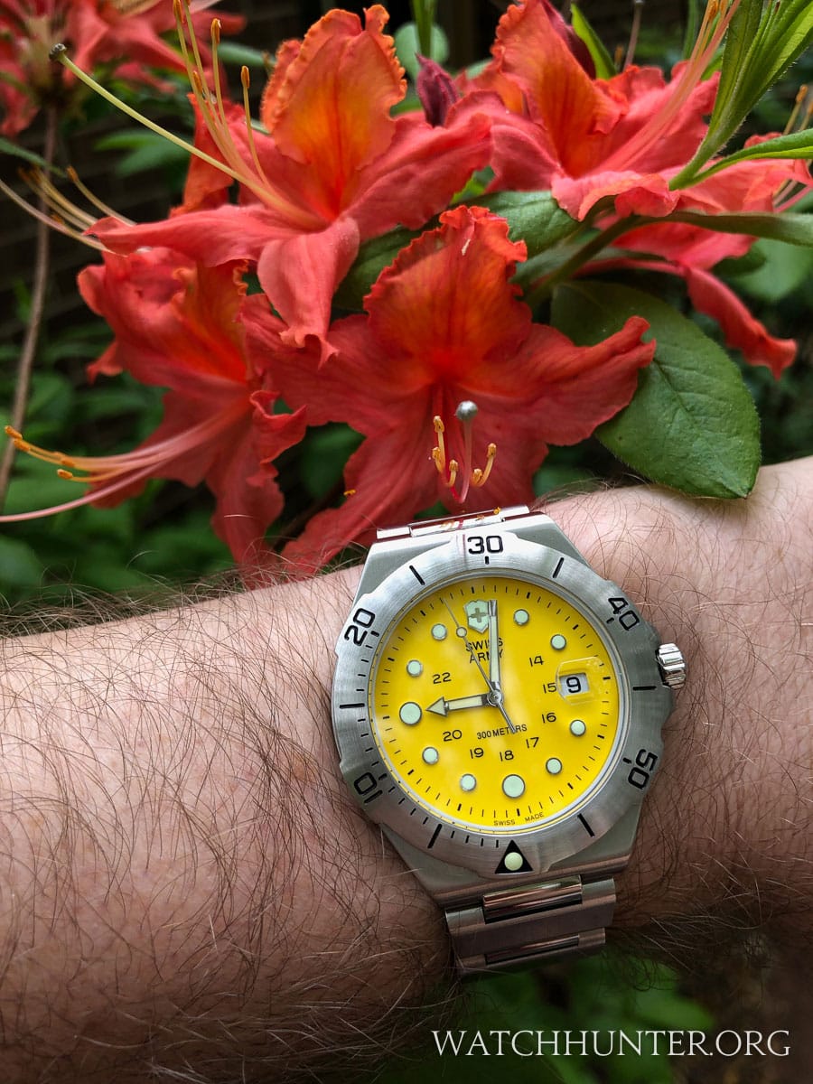 Swiss army dive master outlet