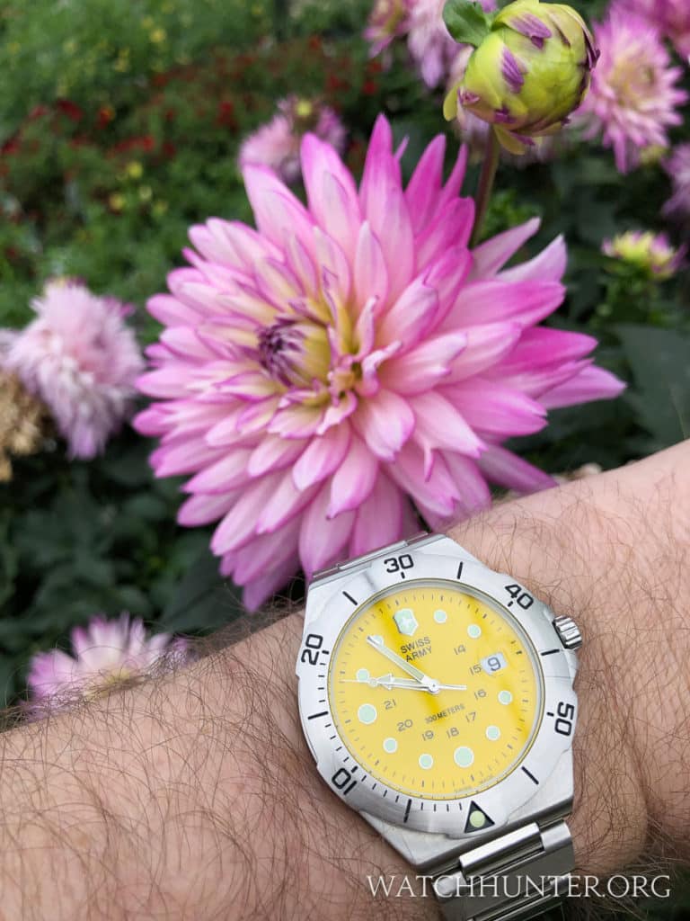 The Dive Master 300 is as pretty as a flower